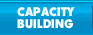 Capacity Building